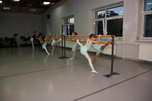 sekcje-balet 11